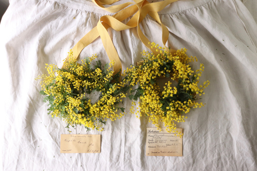 41221円 【中古】 2021 mimosa 1ミモザの小さな花束とアイアンバスケット
