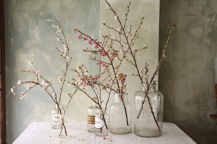 花とアンティークと 第９回 前編 今年の桜前線は 初桜 で楽しむ とっておきアレンジ５選 つくりら 美しい手工芸と暮らし