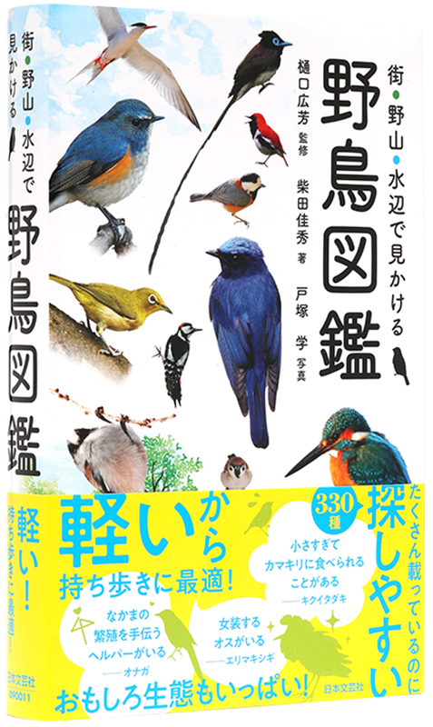 街・野山・水辺で見かける野鳥図鑑