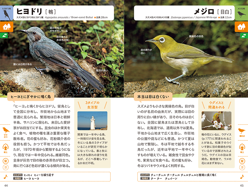 街・野山・水辺で見かける野鳥図鑑