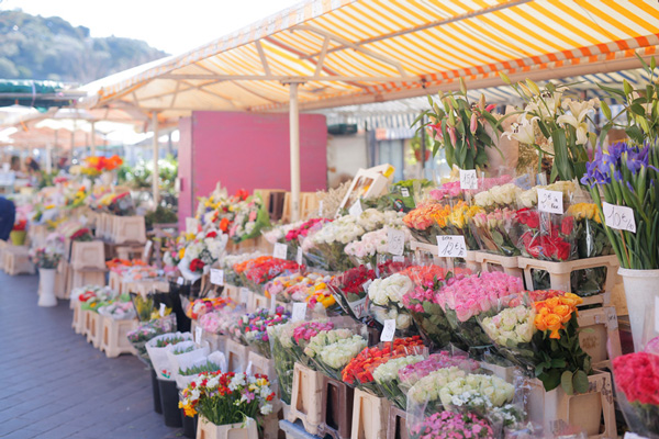 南仏ニースの旅紀行（前編）｜サレヤ広場の花市場に並んだ花々は、カラフルなのにキュートすぎない。大人な雰囲気にきゅん！