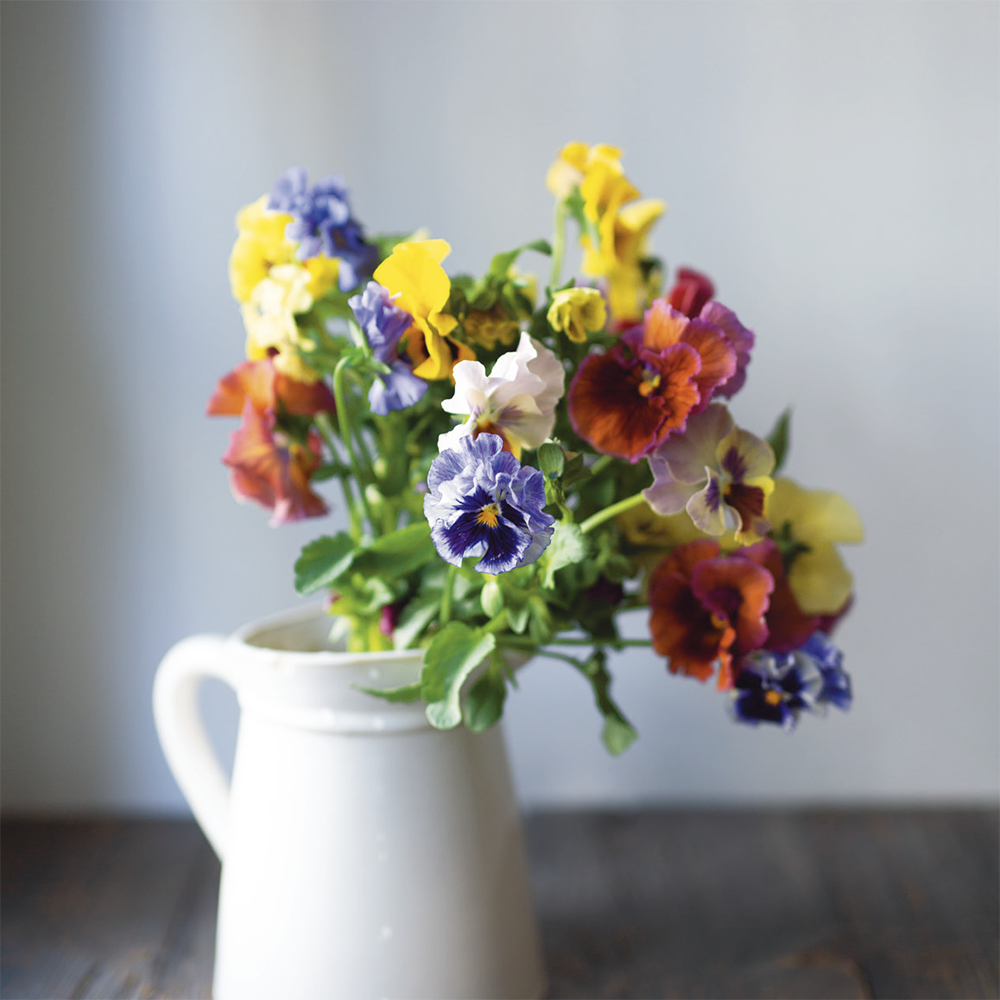 パンジーだけを集めた春を待ち望む花束 大寒その2 つくりら 美しい手工芸と暮らし パンジーだけを集めた春を待ち望む花束 大寒その2 つくりら 美しい手工芸と暮らし
