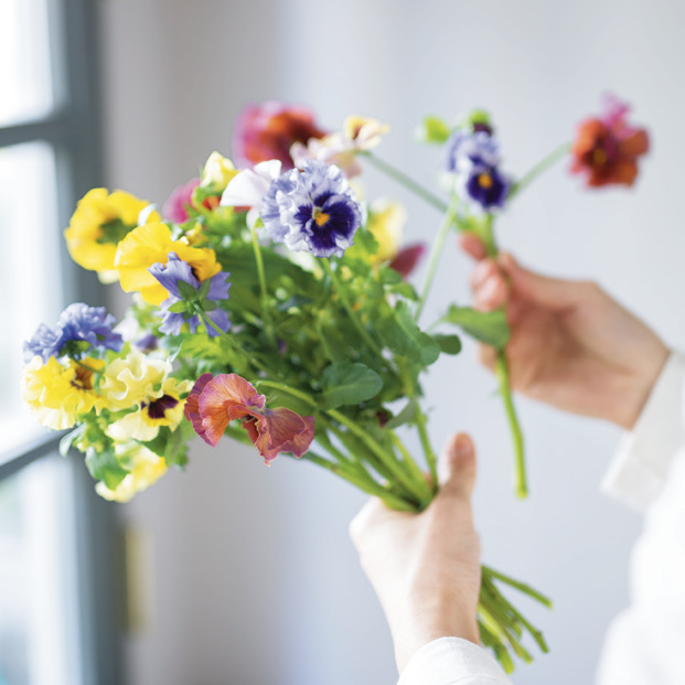 パンジーだけを集めた春を待ち望む花束 大寒その２ つくりら 美しい手工芸と暮らし