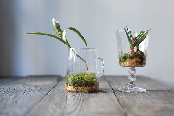 水苔と山苔をあしらって 芽吹きの野山を再現｜啓蟄