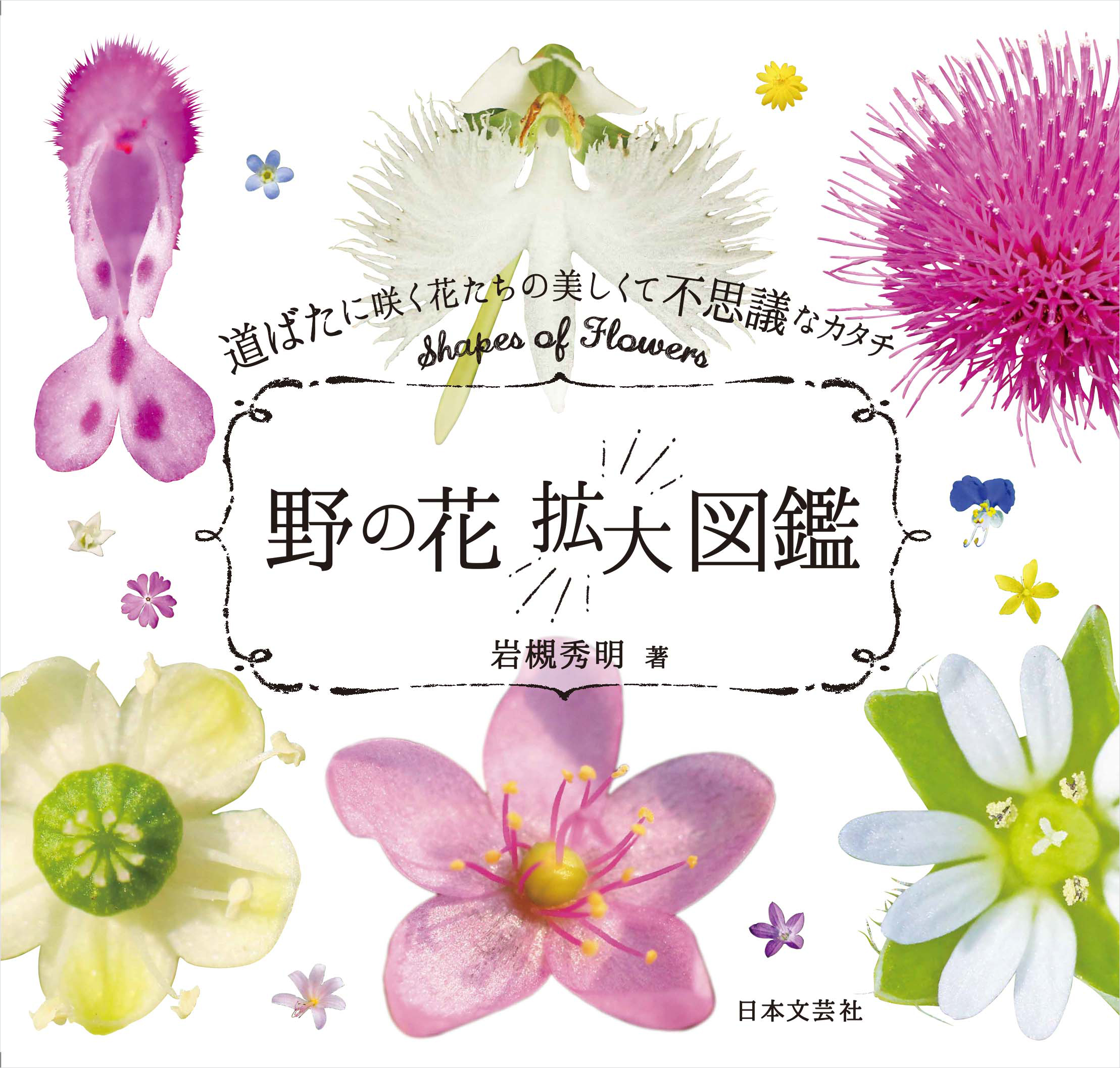 野の花 拡大図鑑 つくりら 美しい手工芸と暮らし