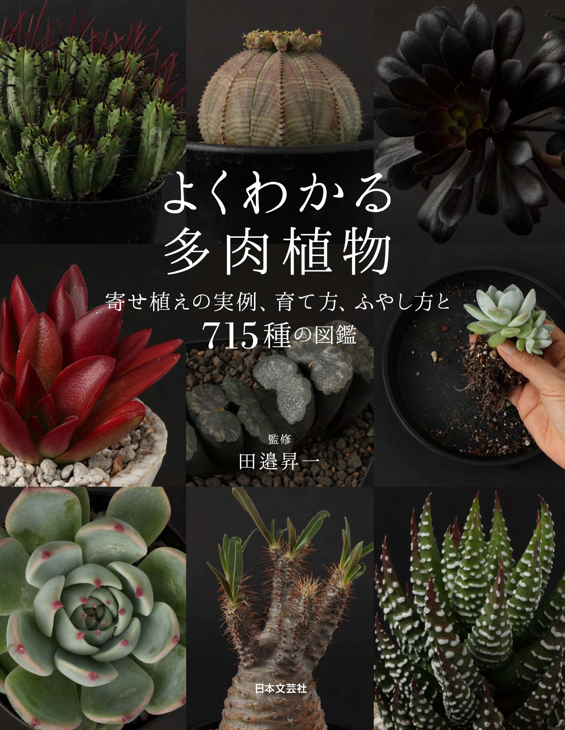 観葉植物図鑑