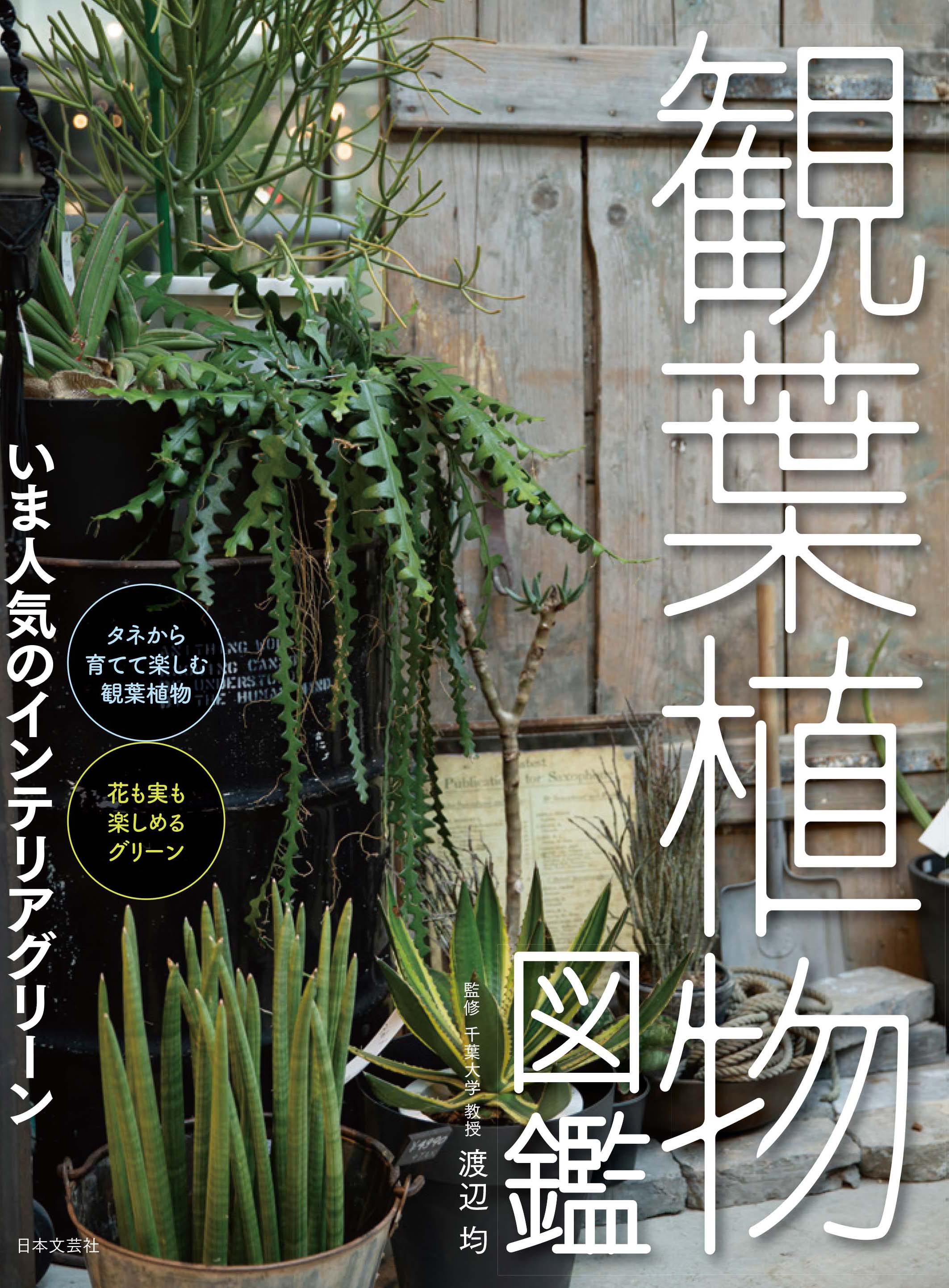 植物刺繡と12か月のおはなし 書籍発売のご案内 つくりら 美しい手工芸と暮らし