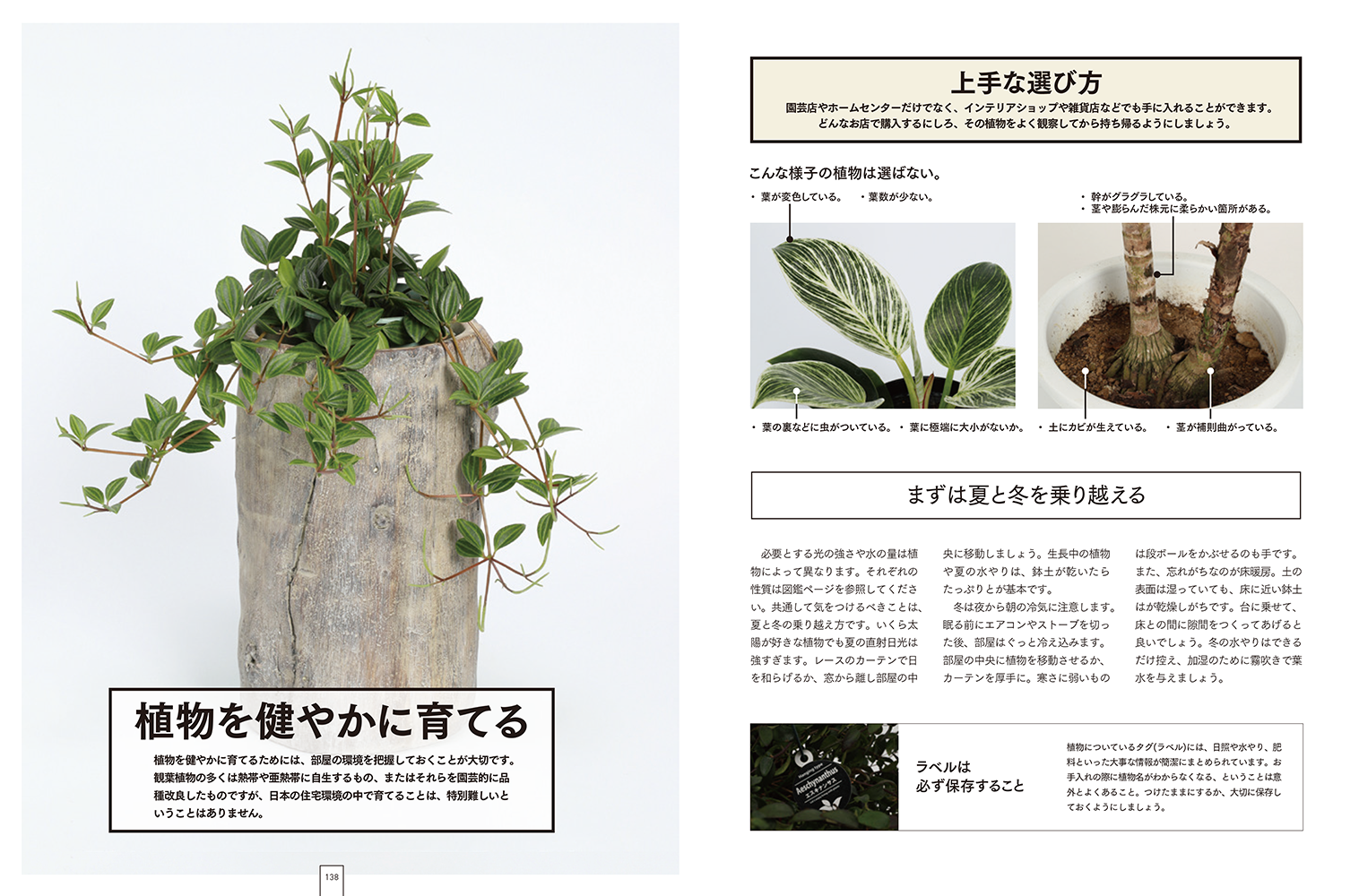 観葉植物図鑑