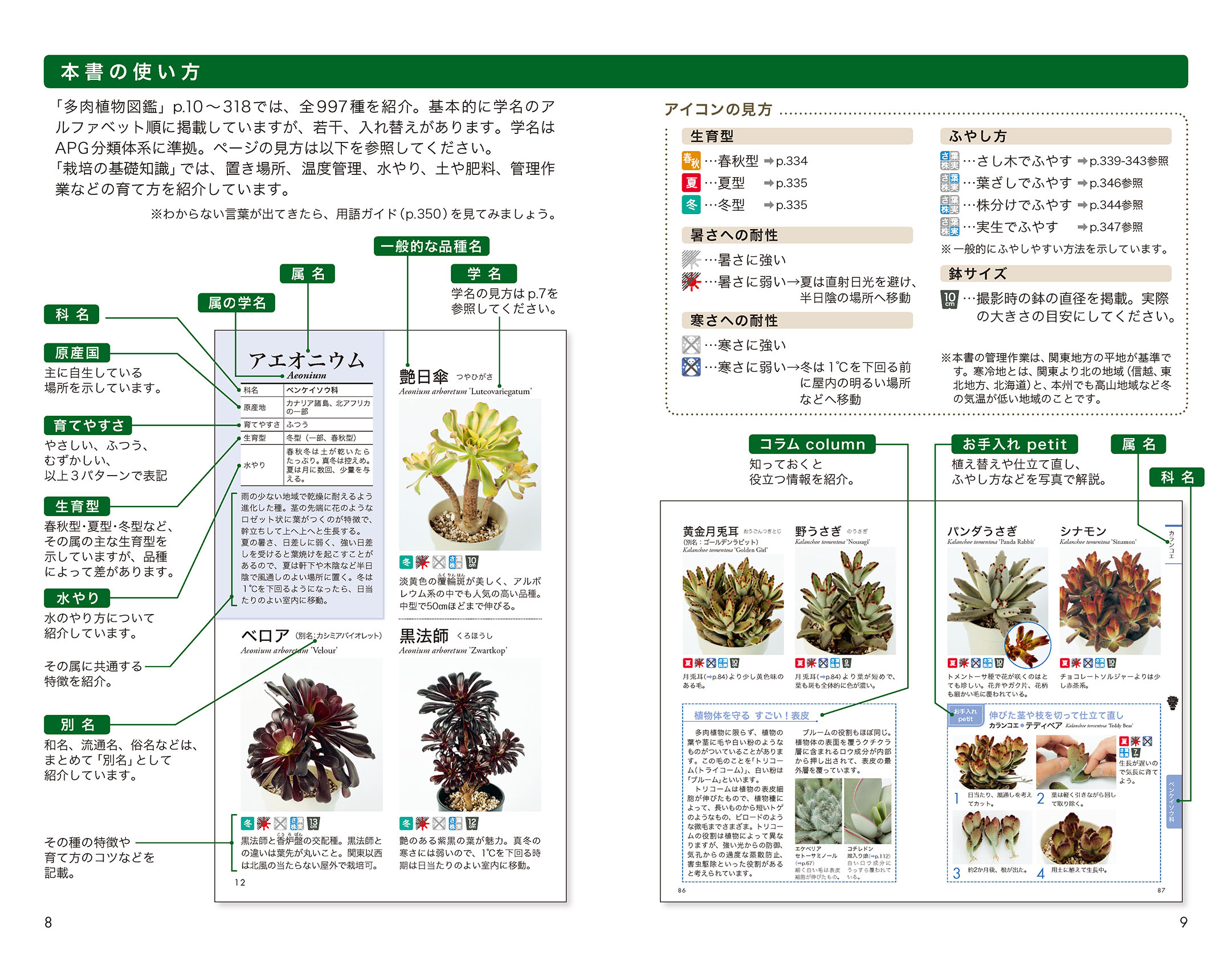 多肉植物図鑑