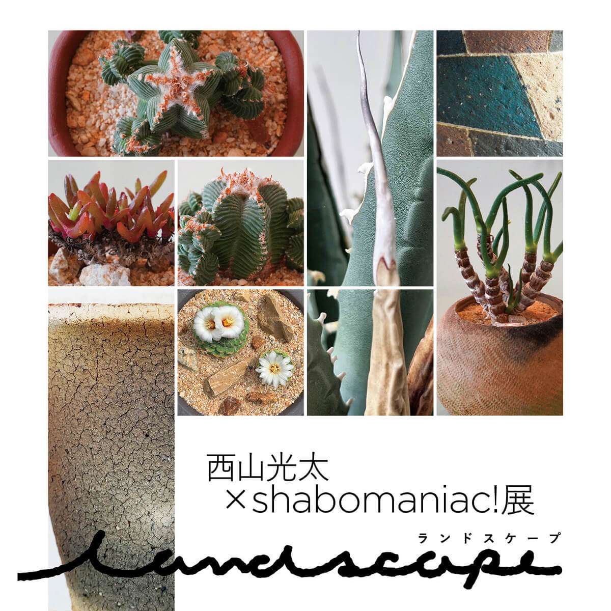 西山光太 ✕ Shabomaniac!二人展