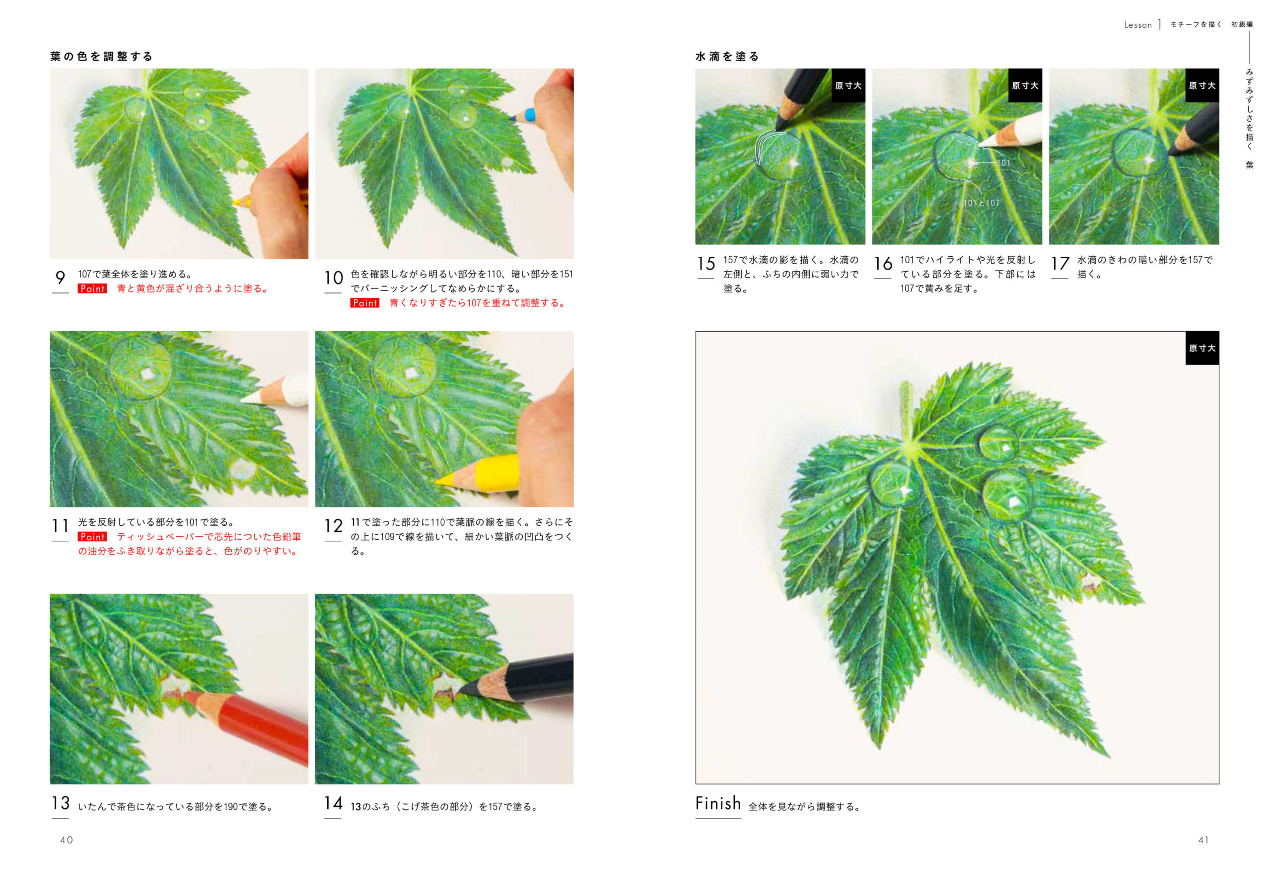 あなたにも描ける、本物のように美しい色鉛筆画