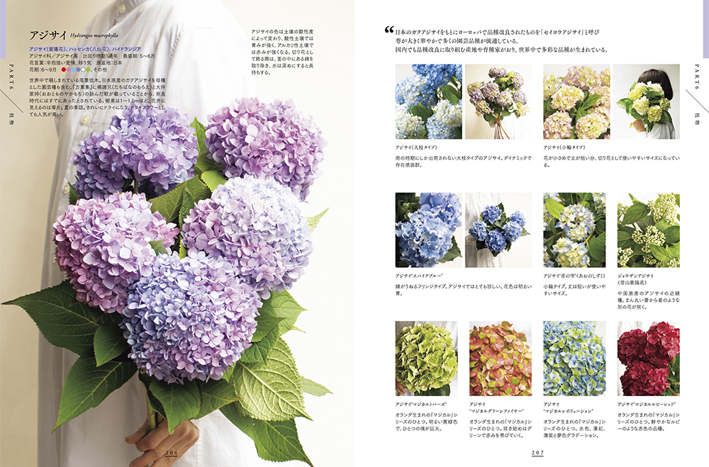 東京植物図譜の花図鑑1000