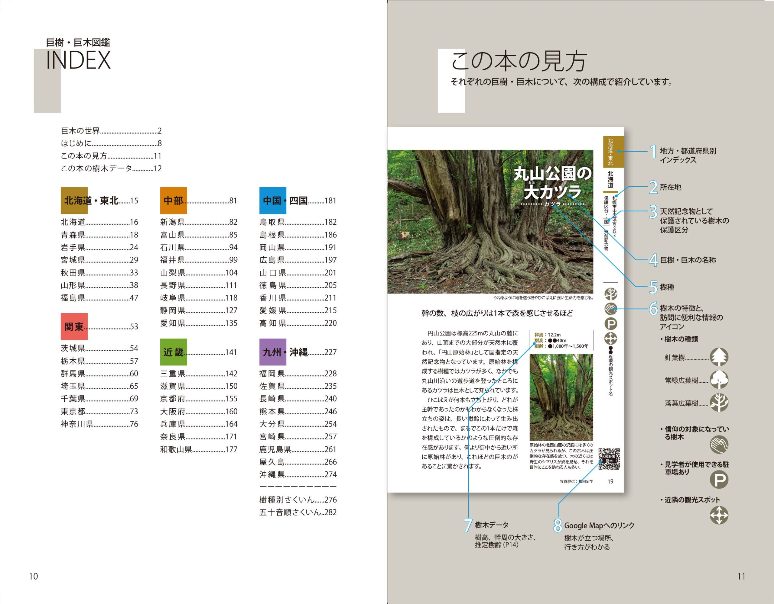 巨樹・巨木図鑑