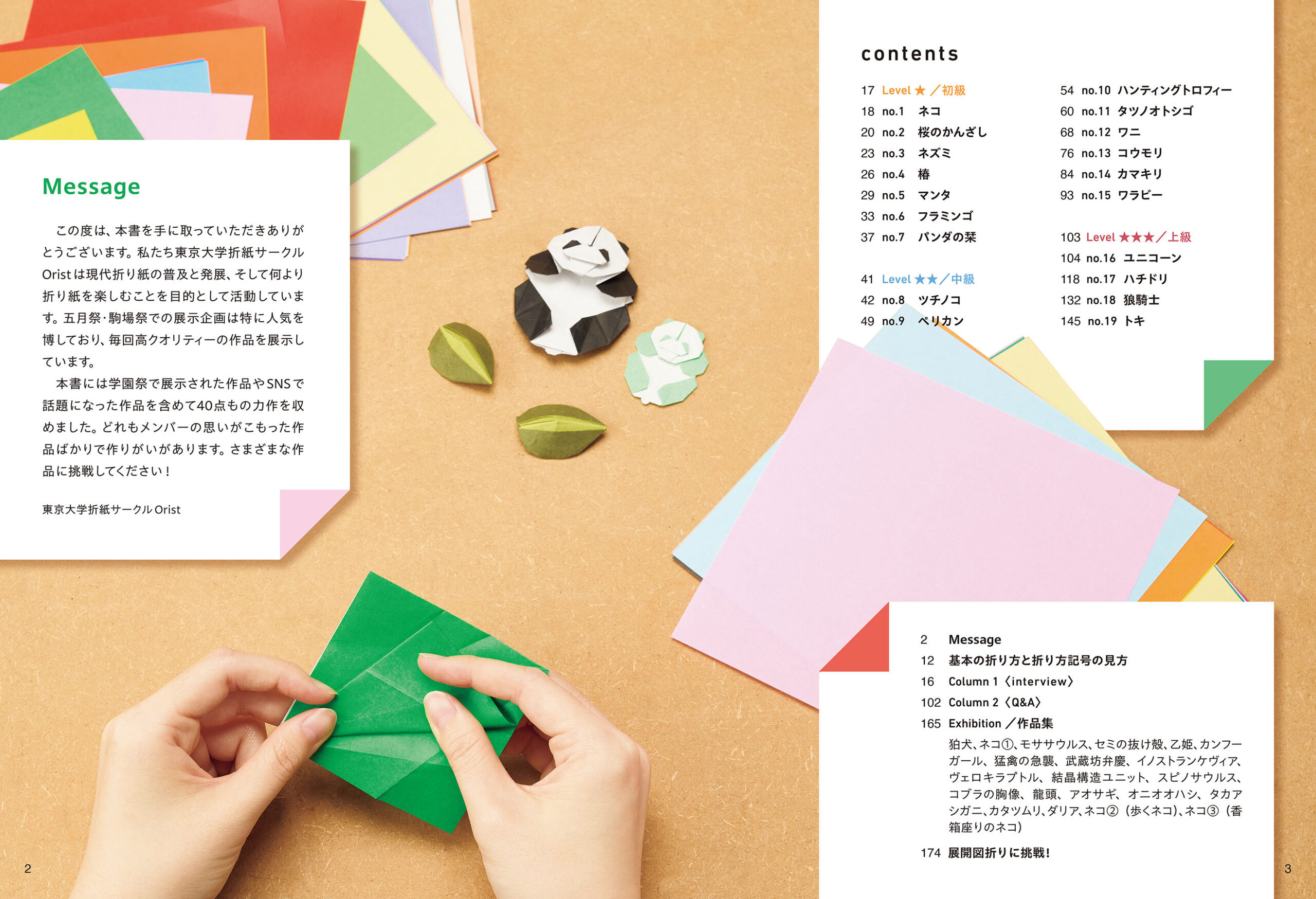 東大テクニカル折り紙 紙ワザ。